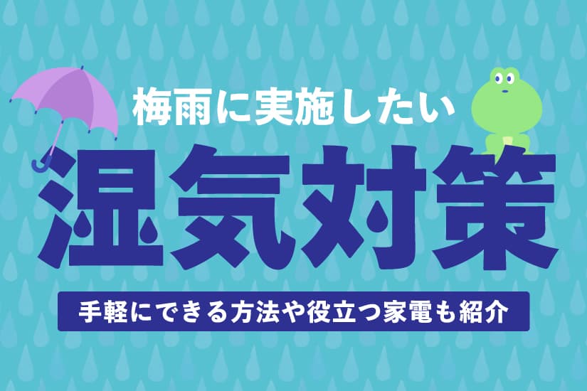 ストレージ王様の湿気対策のアイキャッチ画像