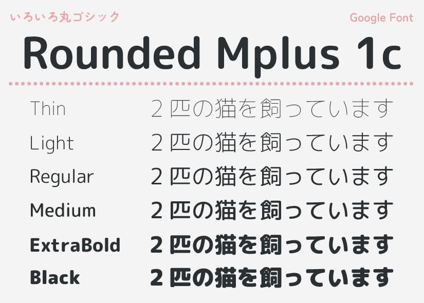 Rounded M+のウェイト一覧
